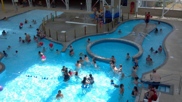 How to get rid of black algae