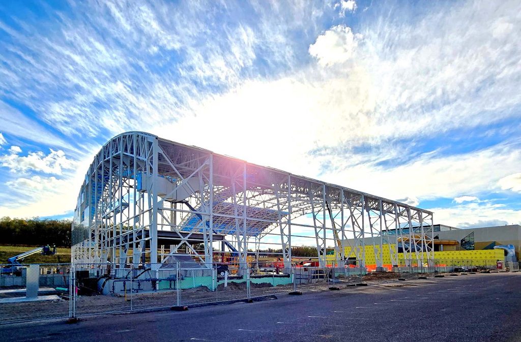 Kalahari watering hole